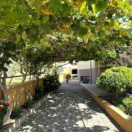 Dalmare
